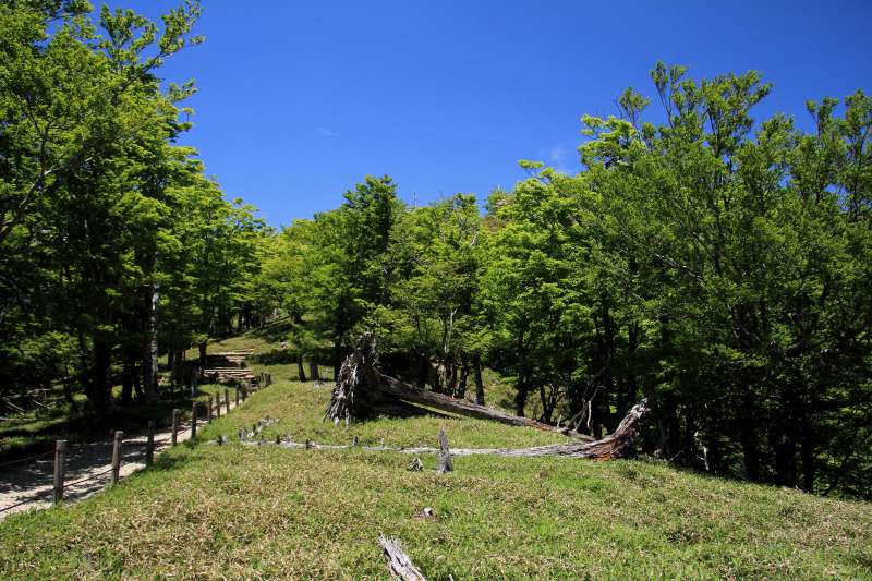 大台ケ原_003.jpg