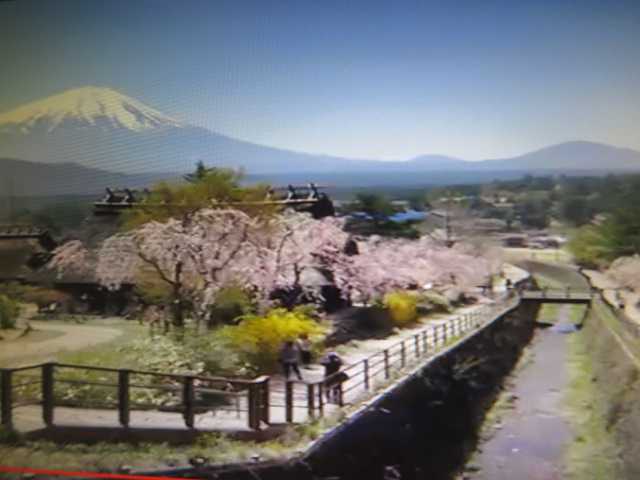 西湖いやしの里根場 わたしのブログ By Miyabi6387 楽天ブログ