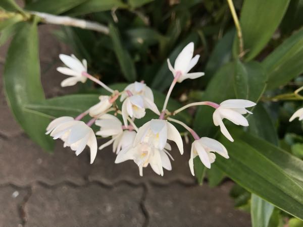 rblog-20180408182420-07.jpg