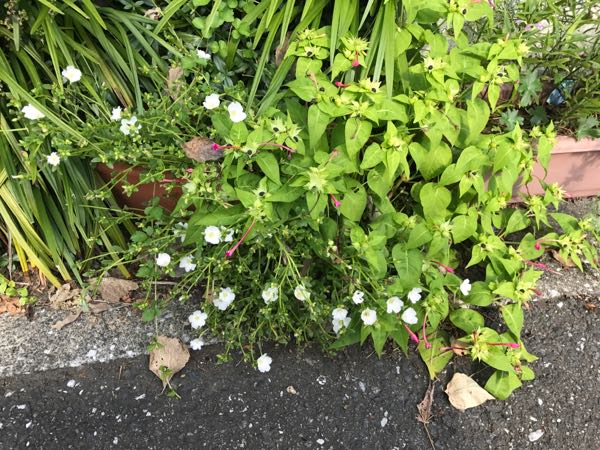 rblog-20170926173506-04.jpg