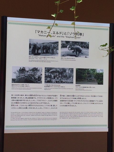 S__16252935.jpg