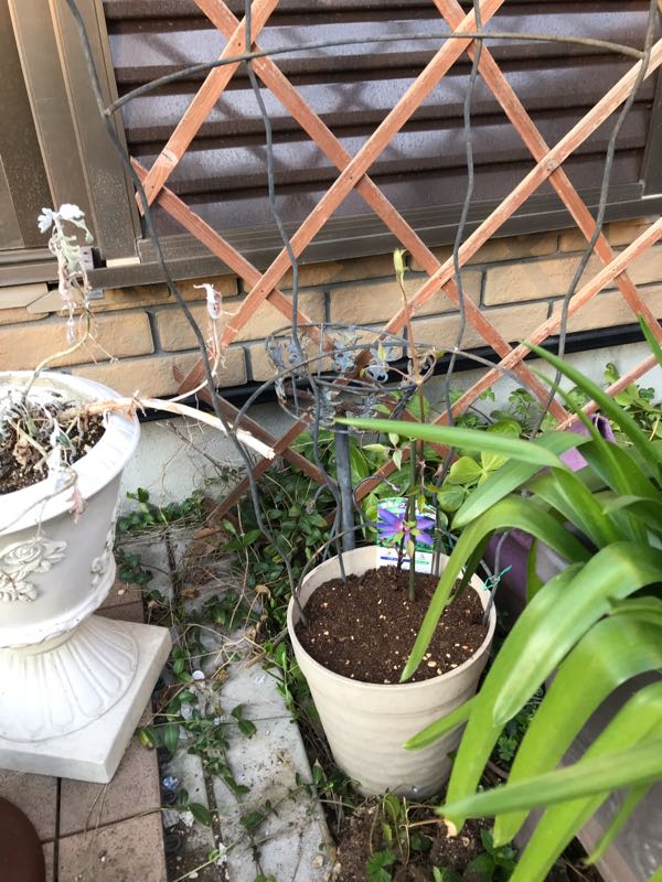 rblog-20190324174258-06.jpg