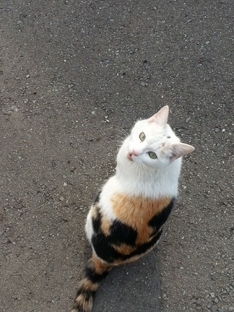 20130309_152632.jpg
