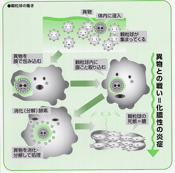 abop5.jpg