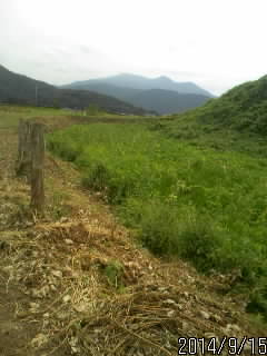 北の堀跡２