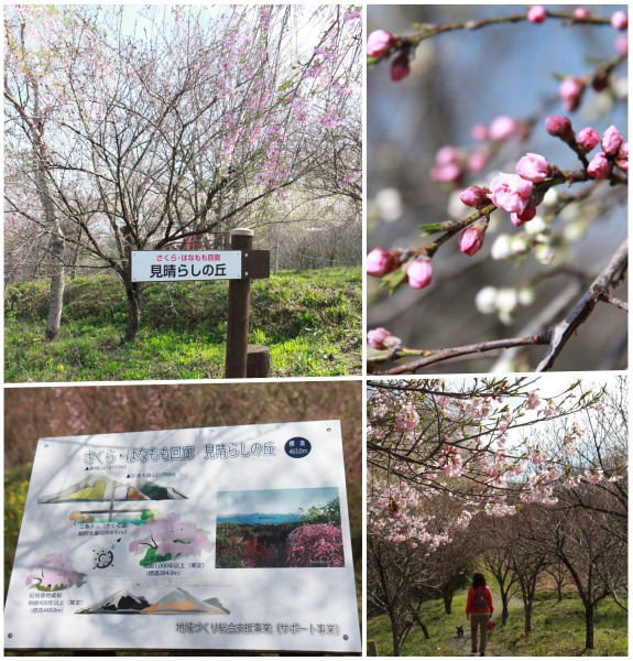 150419_48.jpg