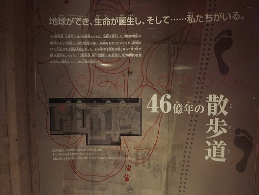 46億年の散歩.jpg