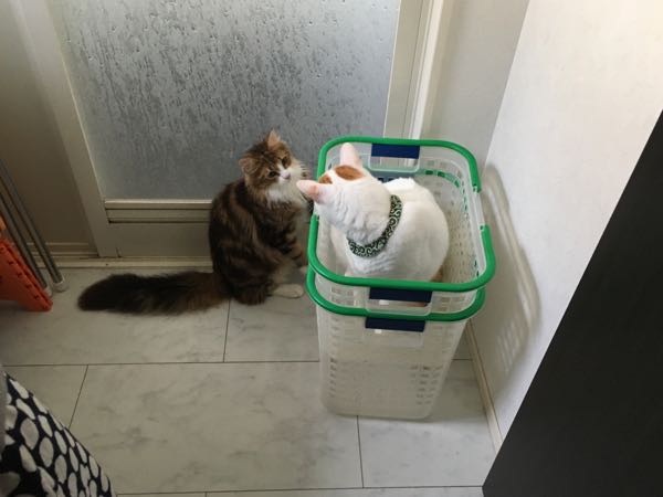 rblog-20180812222203-03.jpg
