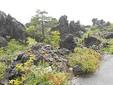 DSCN0161.JPG
