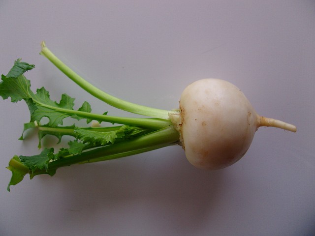 GEDC1562.jpg