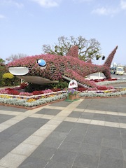 IMG_1752.jpg