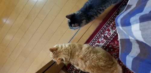 rblog-20181010111818-01.jpg