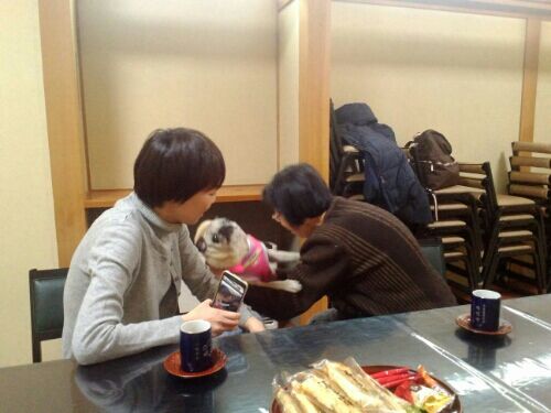 rblog-20160303172945-02.jpg
