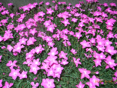 09