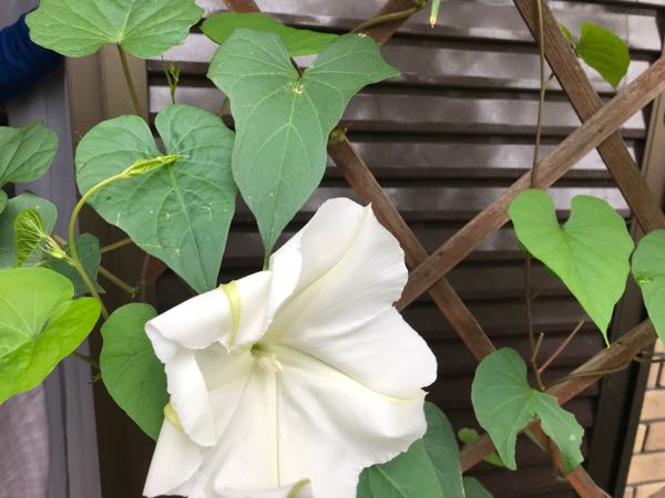 rblog-20180922132357-05.jpg