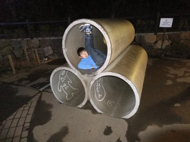 Dscf2908.jpg