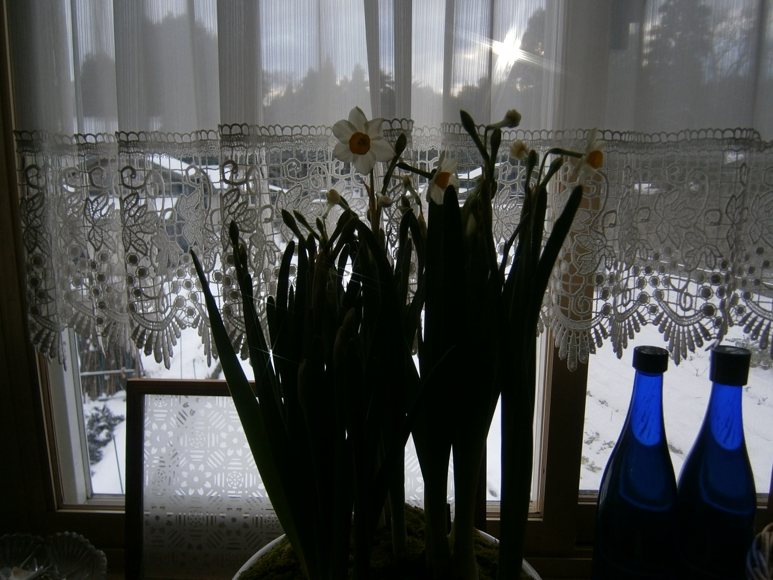 PC290196.JPG