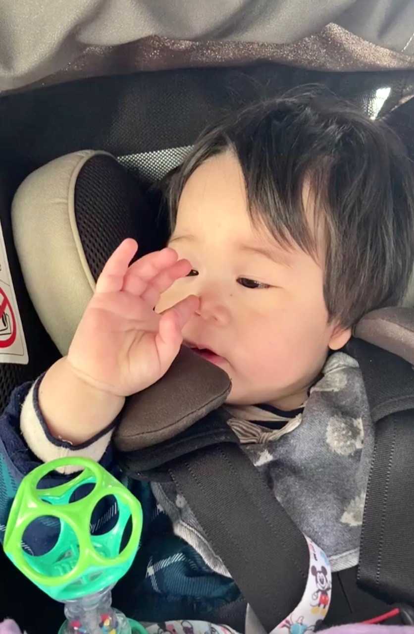 次女の赤ちゃん トゥース お鼻つんつん 椅子もベルトもｔ君にとってはいいおもちゃ 寝起きの不機嫌さん Music Land 私の庭の花たち 楽天ブログ