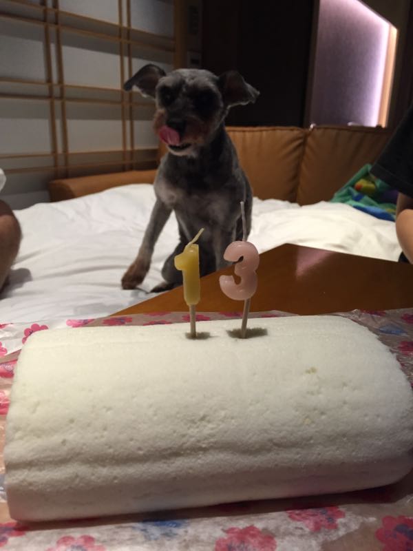 rblog-20160925223233-05.jpg