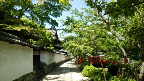 天野山金剛寺2