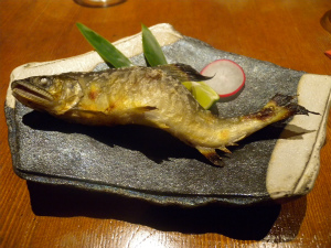 20120070508 (26).jpg