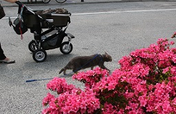 IMG_4731-25.jpg