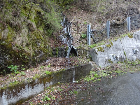 DSC00590.JPG