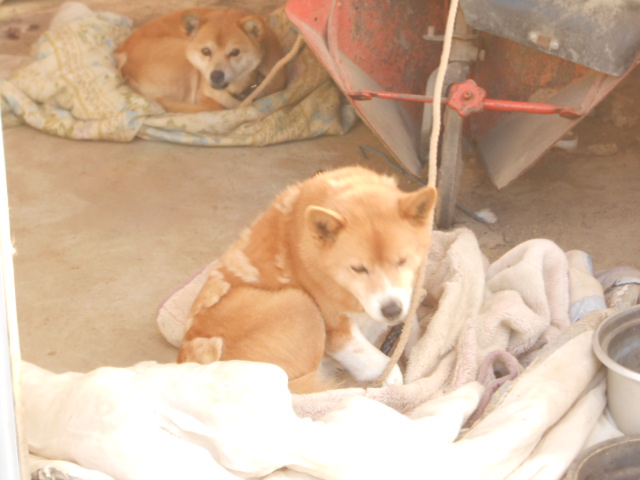 DSCN0755.JPG