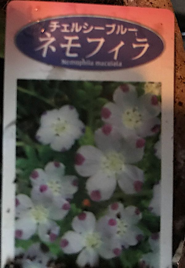 rblog-20180328191719-02.jpg