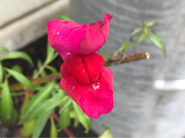 rblog-20180624180538-02.jpg