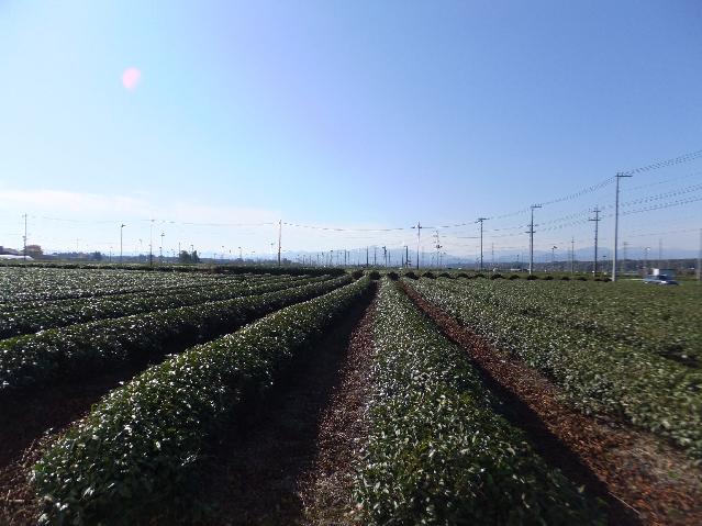 DSCF2931.jpg