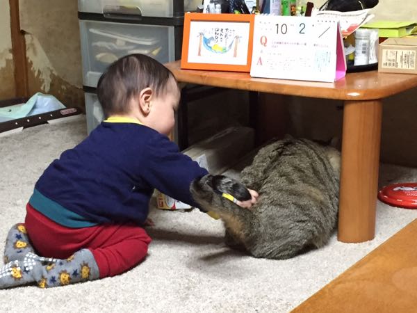 rblog-20141117220311-04.jpg