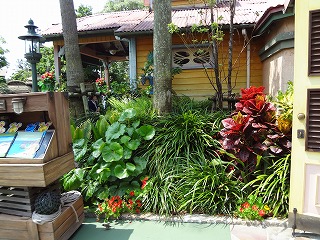 DSC01313.jpg