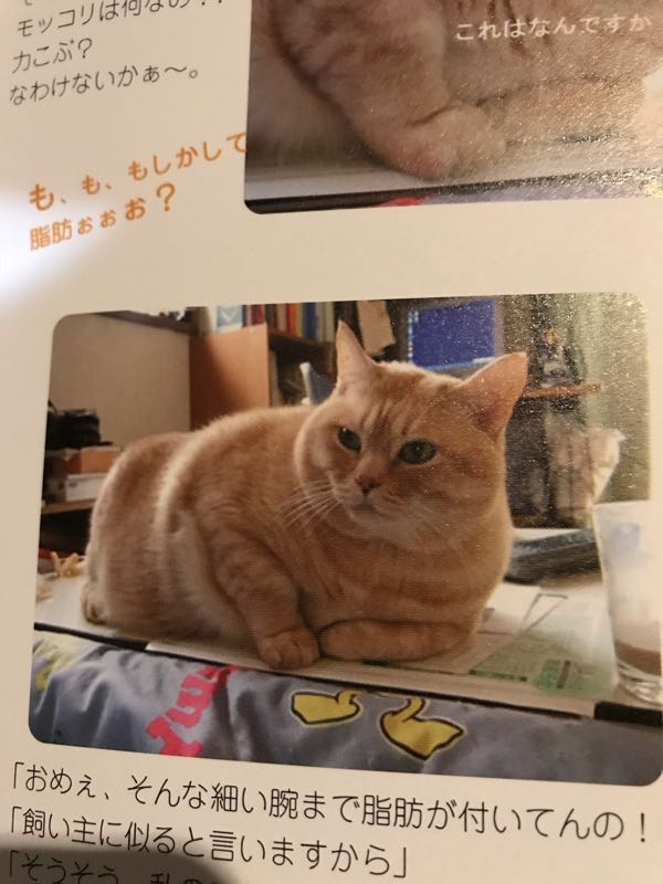 rblog-20180903145915-01.jpg