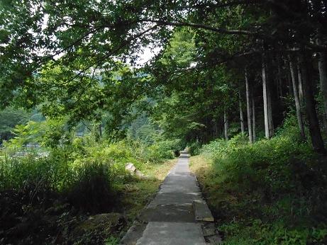 DSCN4165.jpg