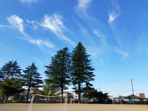 rblog-20181025084543-07.jpg