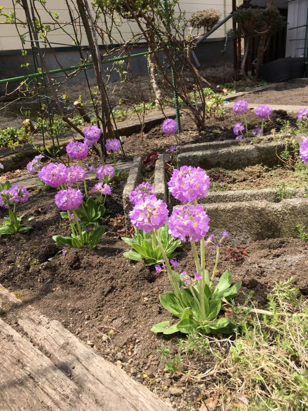 rblog-20180429140141-01.jpg
