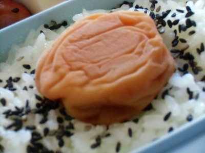 弁当 003.jpg