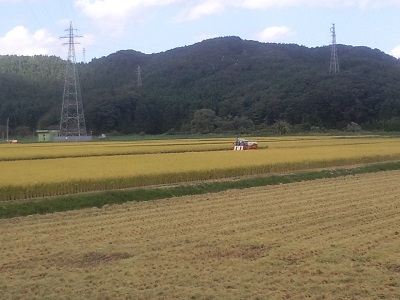 CA3G0028.JPG