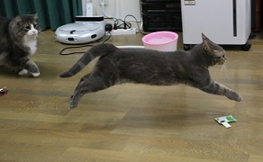 5DA_6678-15.jpg