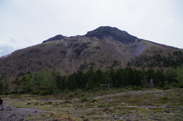 IMGP1606.JPG