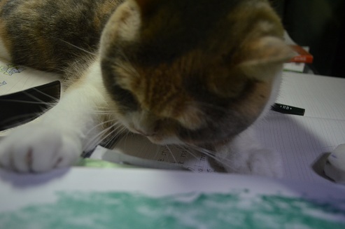 2012.5.5.jya8.jpg