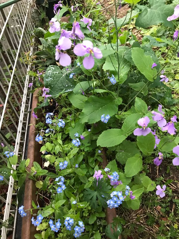rblog-20190419194050-03.jpg