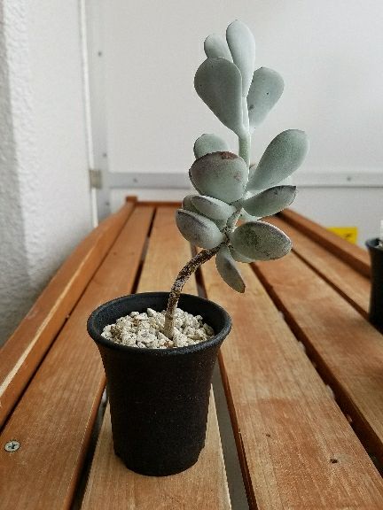 rblog-20170807142153-06.jpg