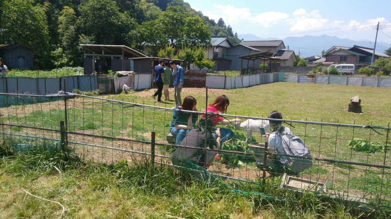 秩父ふるさと村 宮本家 十二代目当主の嫁のつれづれ 楽天ブログ