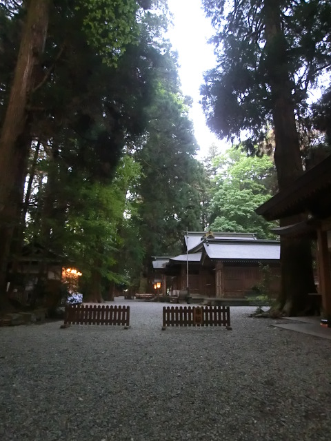 高千穂神社 (32).JPG