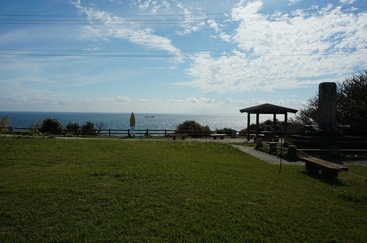 DSC01478.JPG