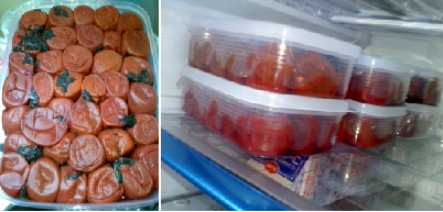 umebosi.png
