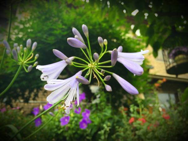 rblog-20160625182717-02.jpg