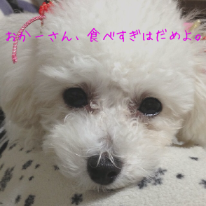IMG_5389.png